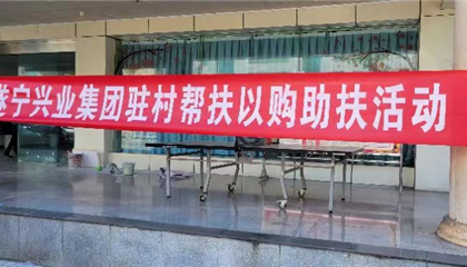 消费帮扶见真情 助农增收促振兴