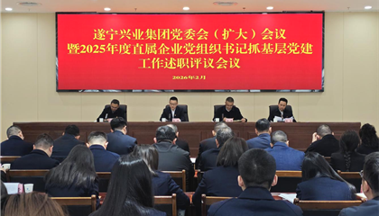 遂宁兴业集团召开党委会（扩大）会议暨2025年度直属企业党组织书记抓基层党建工作述职评议会议